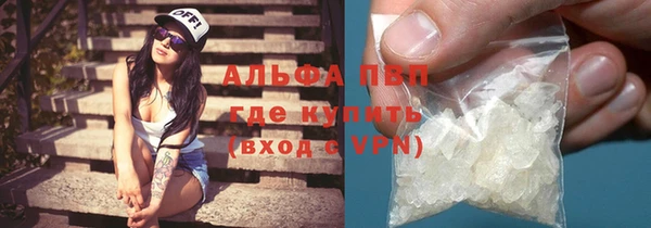 гидра Липки