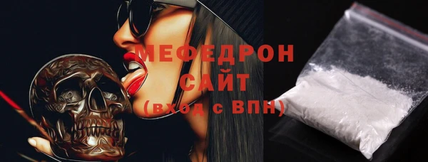 дживик Ельня