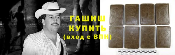 молекула духа Вяземский