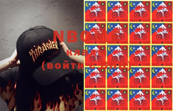 молекула духа Вяземский