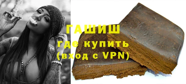 дживик Ельня