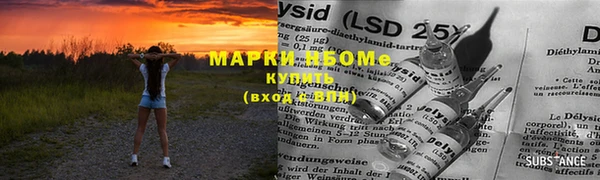 молекула духа Вяземский